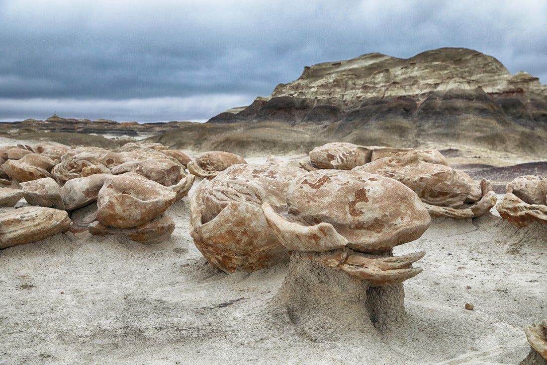 Noah Jigsaw Puzzle Bisti badlands, Cracked Eggs, New Mexico, USA 2000 pieces