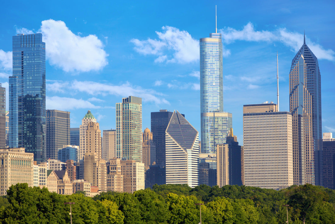 Cityscape of downtown Chicago, United States 2000pc Puzzle