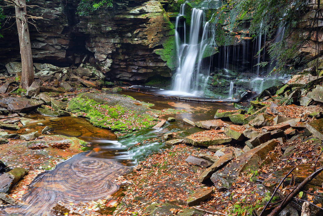 Elakala Falls - Canaan Valley, West Virginia 2000pc Puzzle