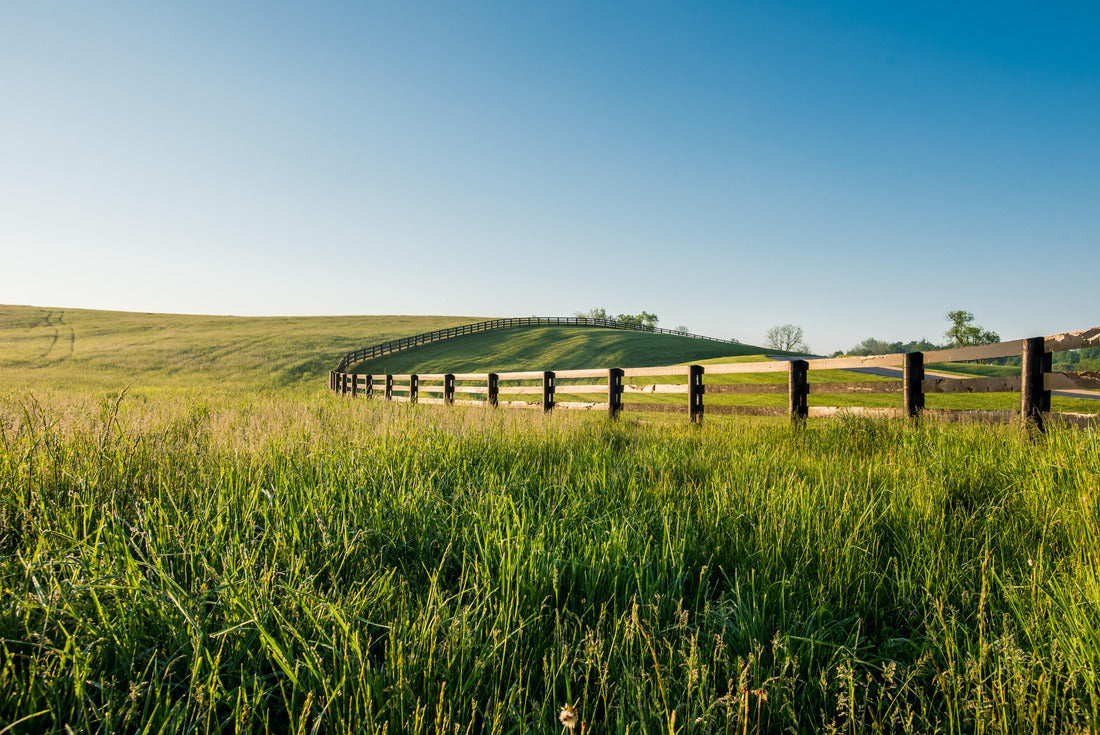 Tall Dewy Grass in Rolling Hills of Kentucky 2000pc Puzzle