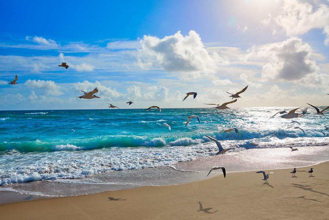 Singer Island beach at Palm Beach Florida US 2000pc Puzzle