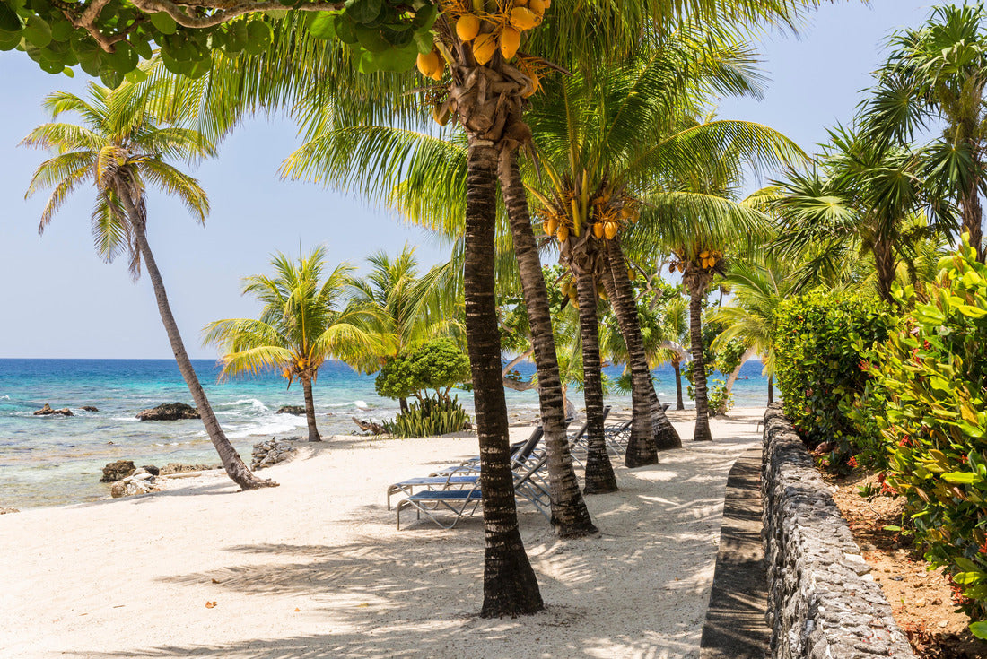 Noah Jigsaw Puzzle Meridian at Lighthouse Point Beach, Honduras 2000 pieces