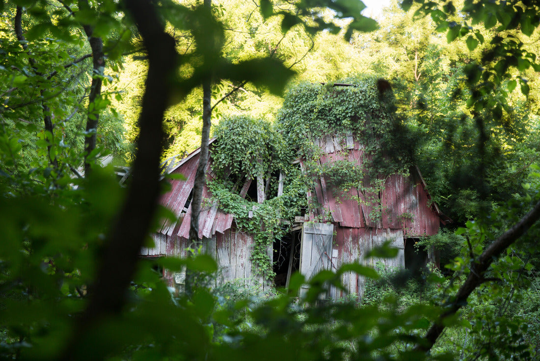Noah Jigsaw Puzzle Abandoned barn in rural Indiana farming area 2000 pieces