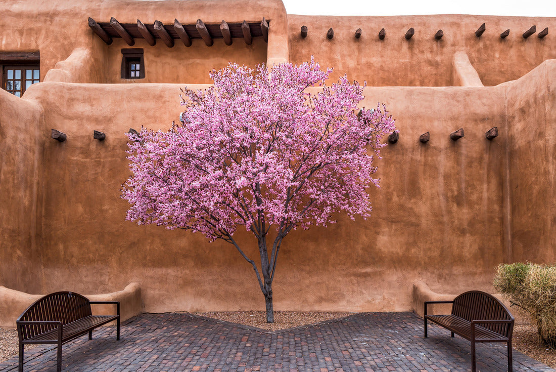 Flowering Tree Downtown Santa Fe, New Mexico 2000pc Puzzle