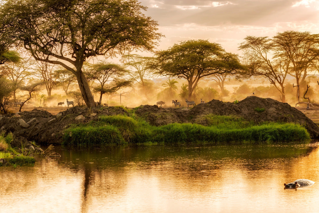 Sunset over the river in Serengeti, Tanzania 2000pc Puzzle