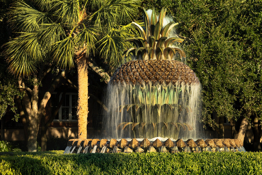 Charleston South Carolina pineapple fountain 2000pc Puzzle