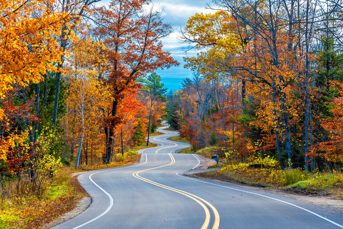 A Road at Autumn in Door County of Wisconsin 2000pc Puzzle