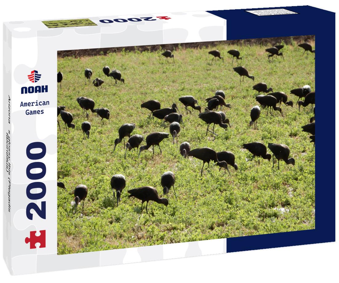 Arizona’s glossy Ibis (Plegadis falcinellus) 2000pc Puzzle