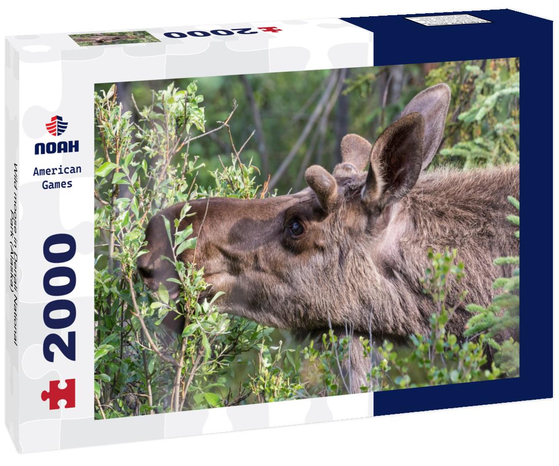 Wild moose in Denali National Park (Alaska) 2000pc Puzzle