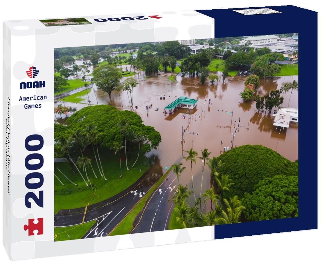 Flooded Park in Hilo Hawaii after big storm 2000pc Puzzle