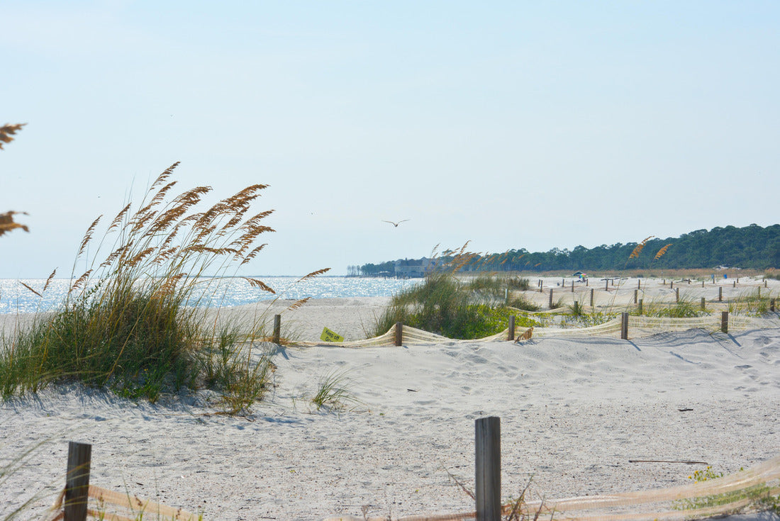 White sand beach on Dauphin Island, Alabama 2000pc Puzzle