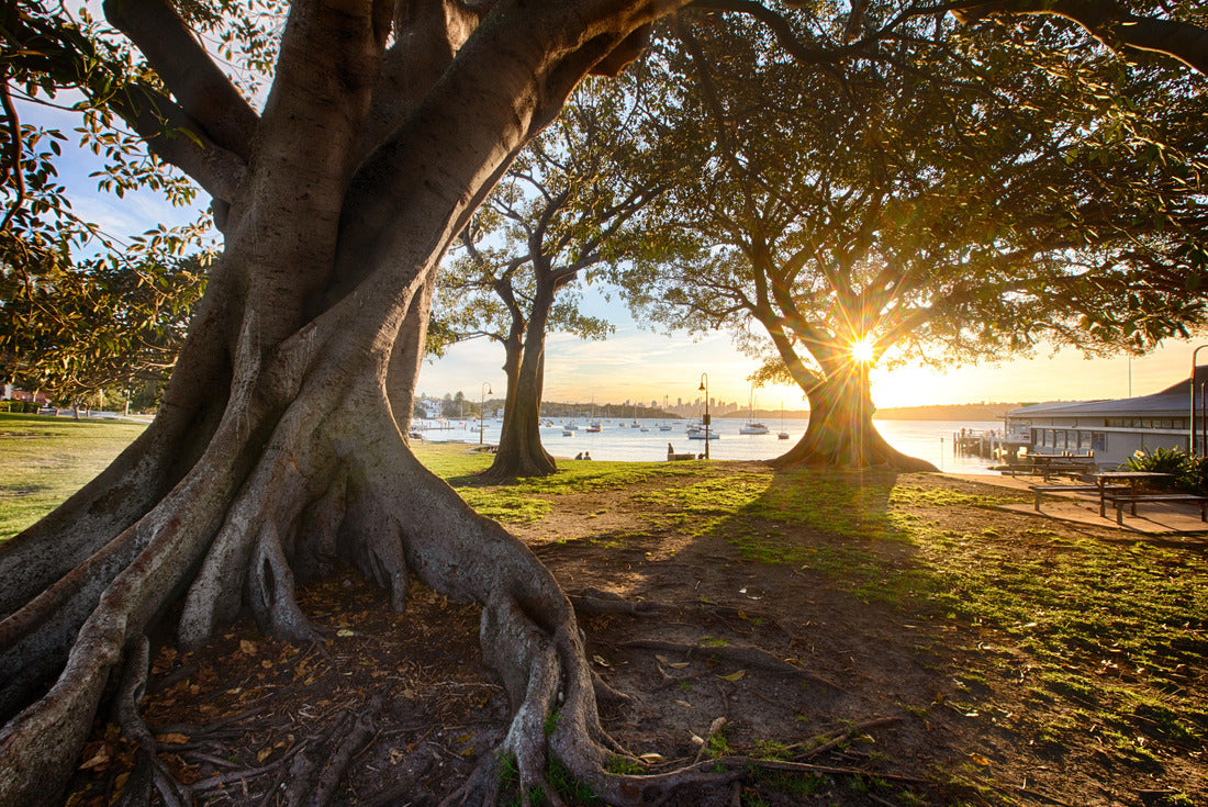 Noah Jigsaw Puzzle Watsons Bay close to Sydney, NSW, Australia 2000 pieces