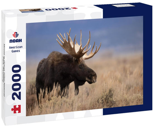 Noah Jigsaw Puzzle Moose in Grand Teton National Park, Wyoming 2000 pieces