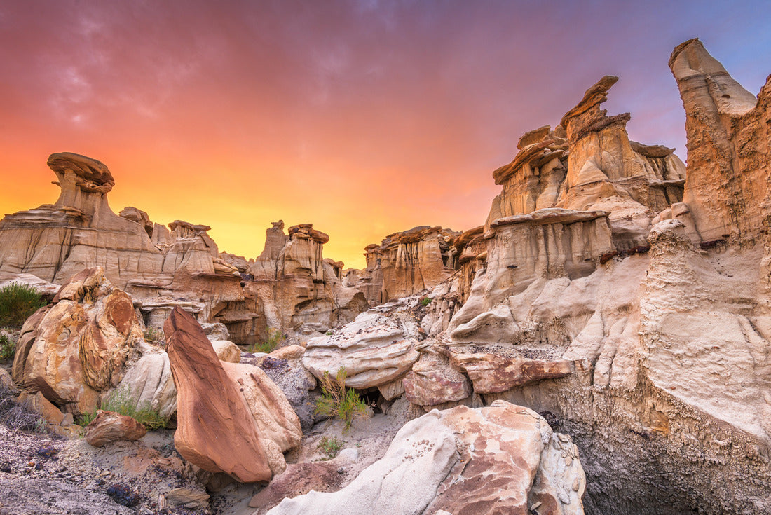 Noah Jigsaw Puzzle Bisti/De-Na-Zin Wilderness, New Mexico, USA 2000 pieces