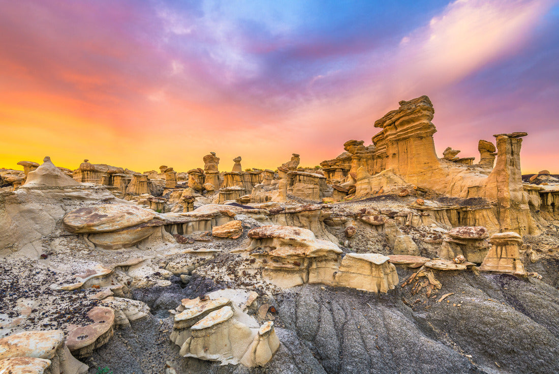 Noah Jigsaw Puzzle Bisti/De-Na-Zin Wilderness, New Mexico, USA 2000 pieces
