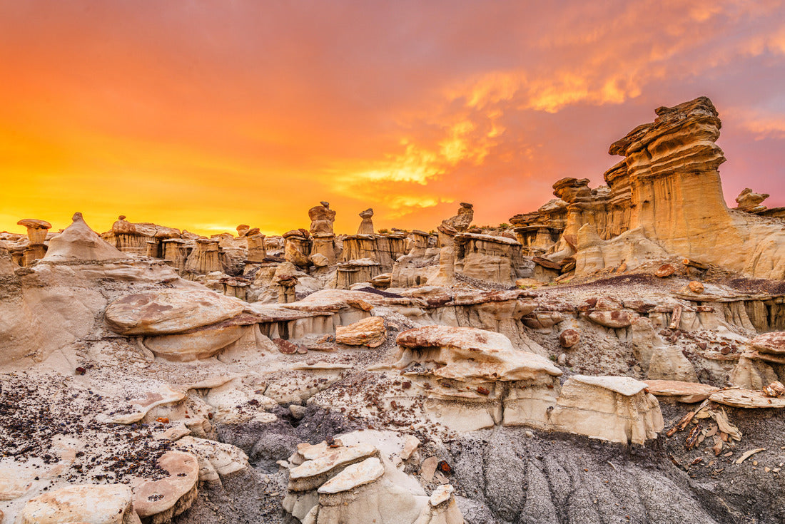 Noah Jigsaw Puzzle Bisti/De-Na-Zin Wilderness, New Mexico, USA 2000 pieces