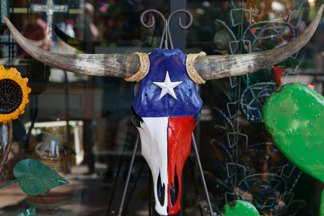 Texas bull skull painted with texas colors 2000pc Puzzle