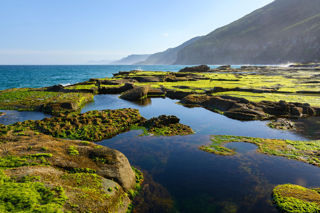 Noah Jigsaw Puzzle Wild coast, Royal National Park, Australia 2000 pieces