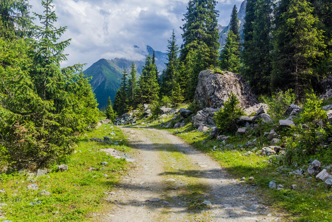 Path in Karakol river valley in Kyrgyzstan 2000pc Puzzle