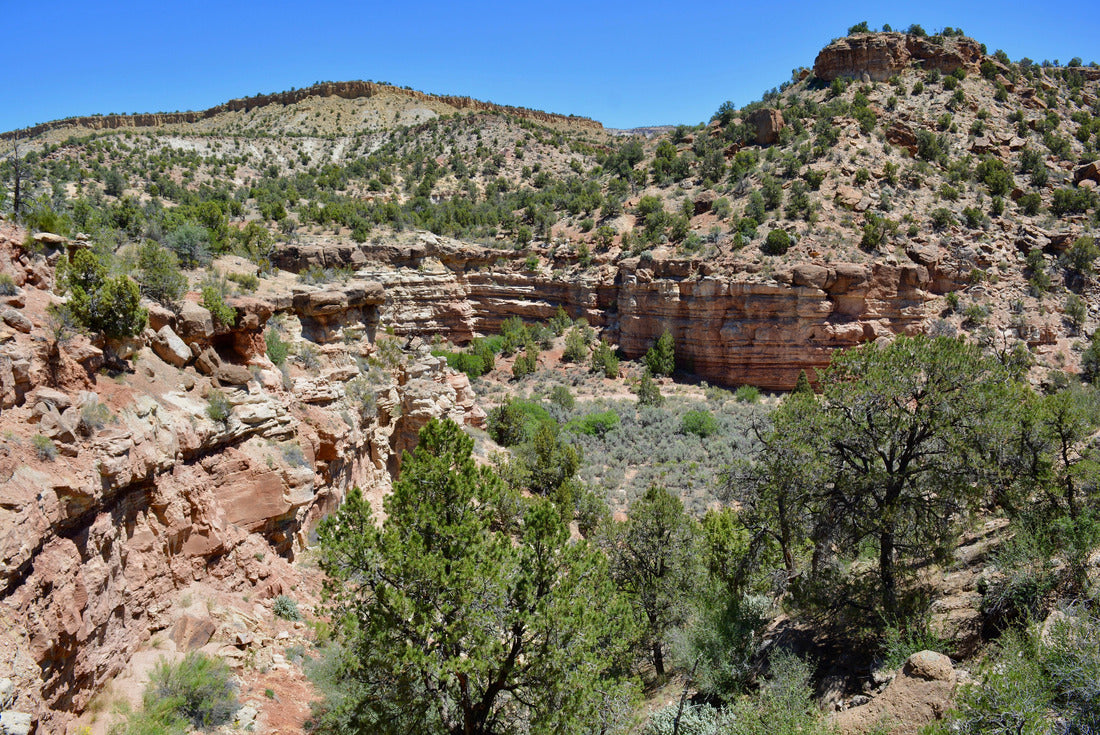 Escalante Petrified Forest State Park Utah 2000pc Puzzle