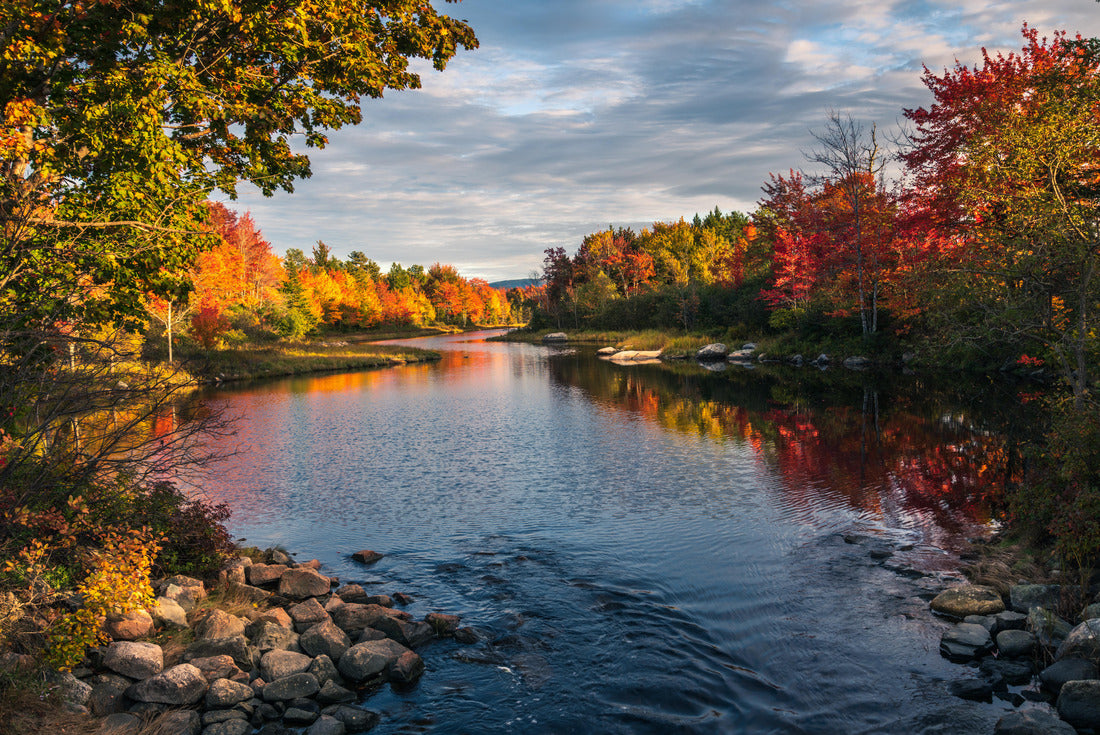 Noah Jigsaw Puzzle Autumn in Acadia National Park, Maine, USA 2000 pieces