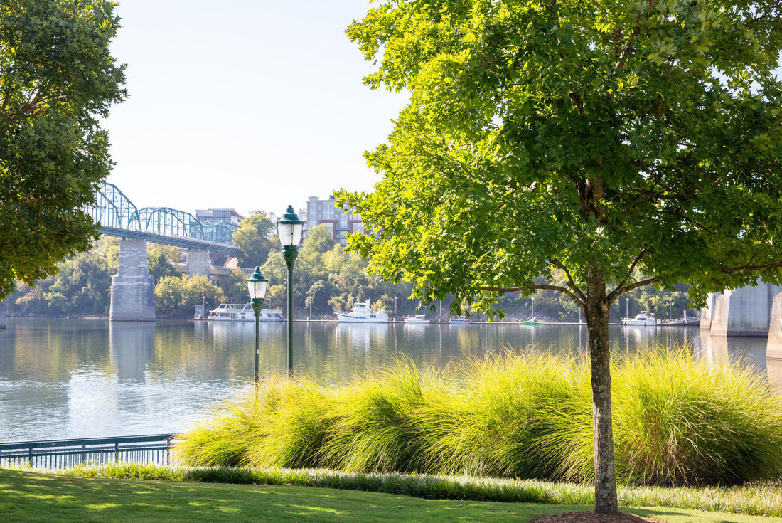Noah Jigsaw Puzzle Walnut Street Bridge Chattanooga Tennessee 2000 pieces