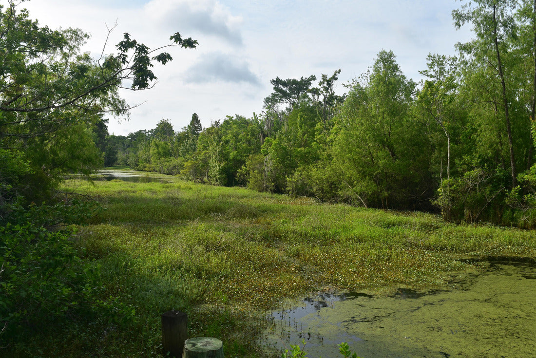 A Perfect Spring Day in Louisiana's Bayou 2000pc Puzzle