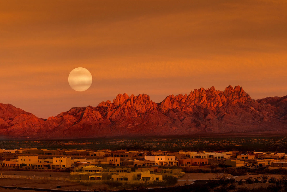 Full Moon, Organs, and Adobes, New Mexico 2000pc Puzzle