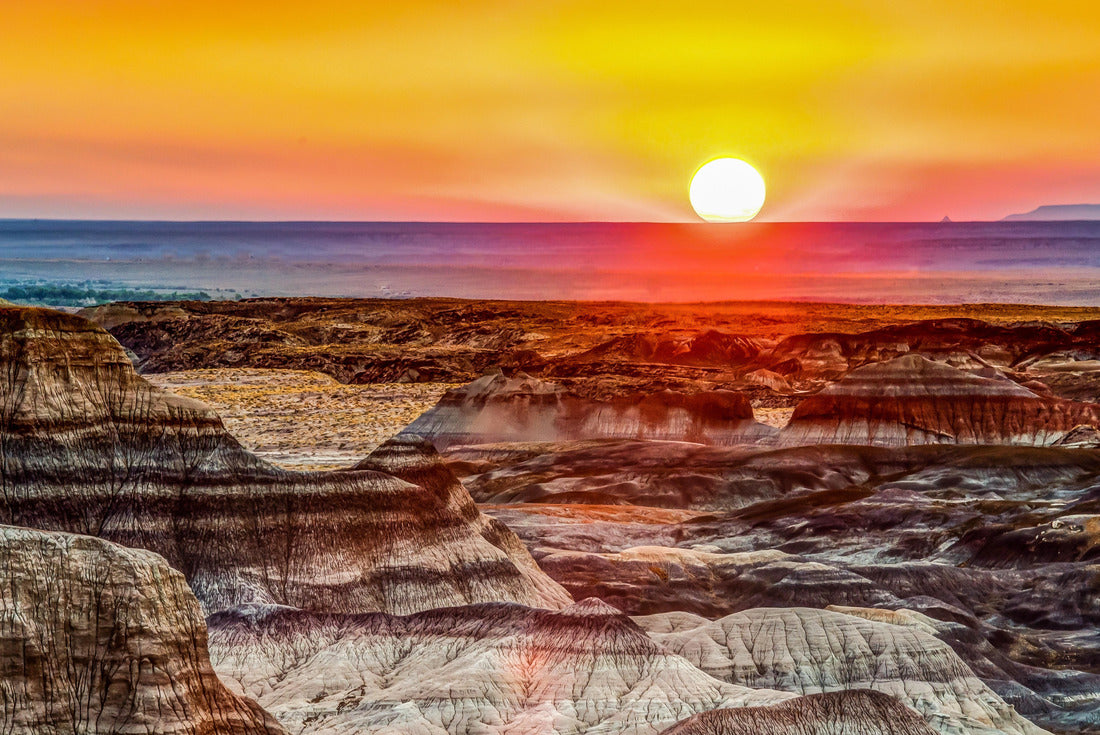 Noah Jigsaw Puzzle Petrified Forest National Park in Arizona 2000 pieces