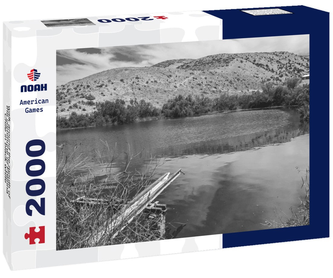 Noah Jigsaw Puzzle walk around the mouth of the commune of Freirina, Chile in black white 2000 pieces