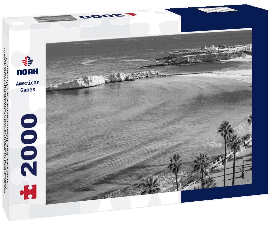 Noah Jigsaw Puzzle View of the Mediterranean Sea. Monastir. Tunisia. Panoramic view of the city and coast opens from the Ribat lookout tower in black white 2000 pieces