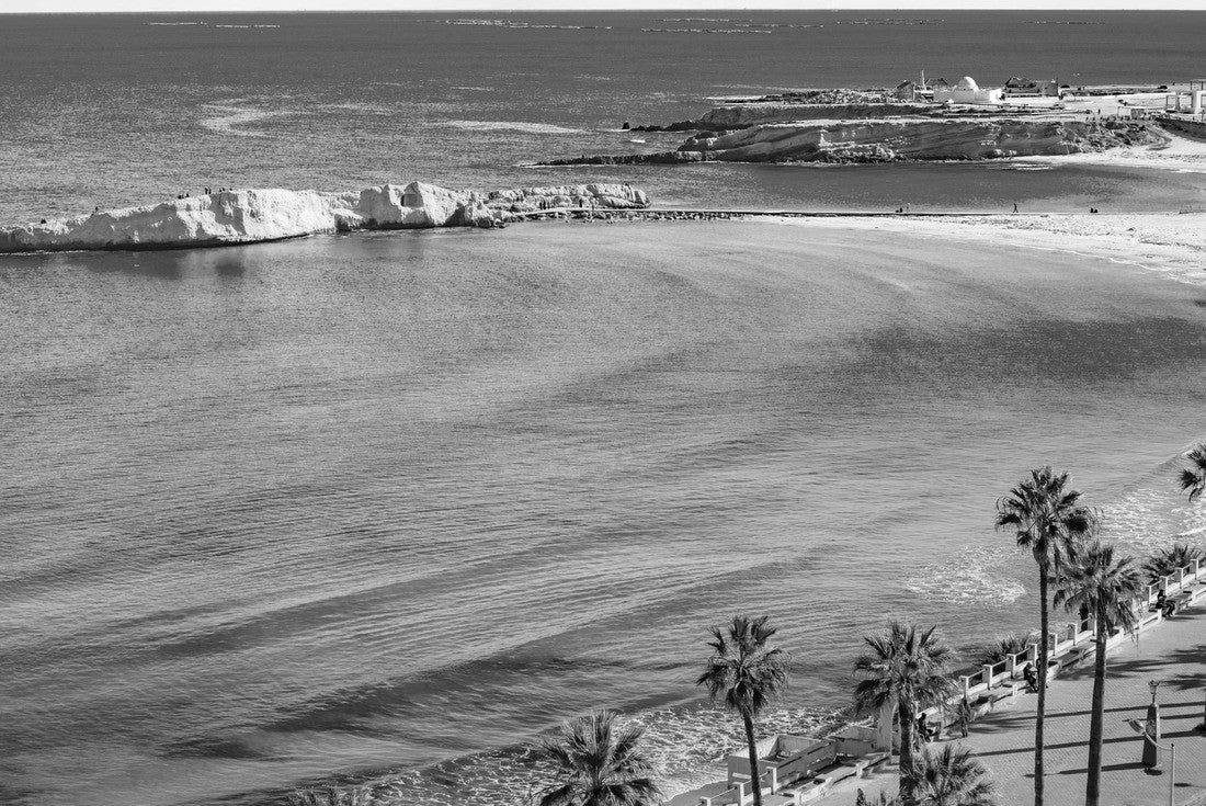 Noah Jigsaw Puzzle View of the Mediterranean Sea. Monastir. Tunisia. Panoramic view of the city and coast opens from the Ribat lookout tower in black white 2000 pieces