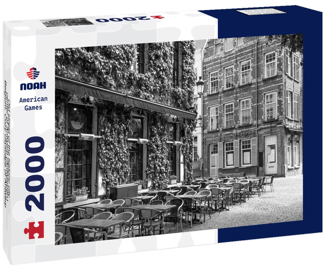 Old street of the historic city center of Antwerp (Antwerpen), Belgium. Cozy cityscape of Antwerp 2000pc PuzzleBlack and White