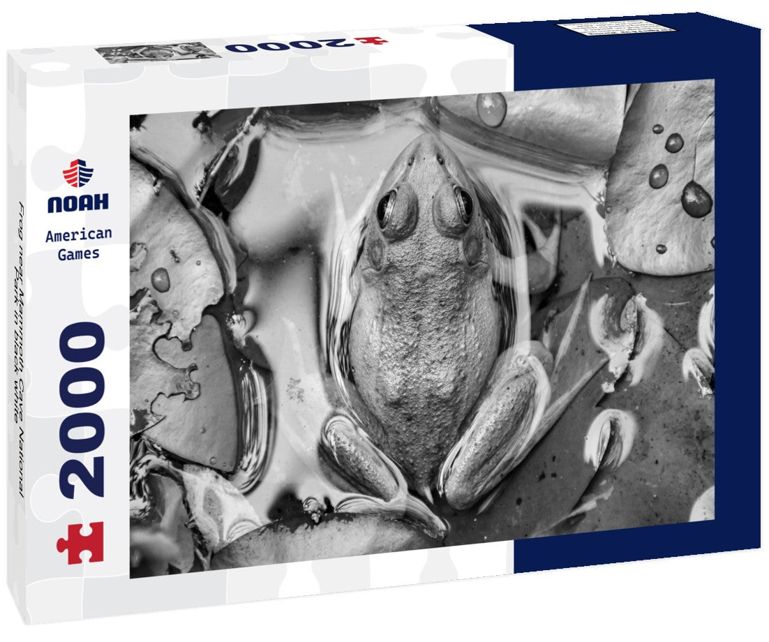 Noah Jigsaw Puzzle Frog near Mammoth Cave National Park in black white 2000 pieces