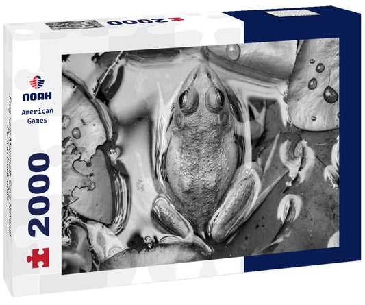 Noah Jigsaw Puzzle Frog near Mammoth Cave National Park in black white 2000 pieces