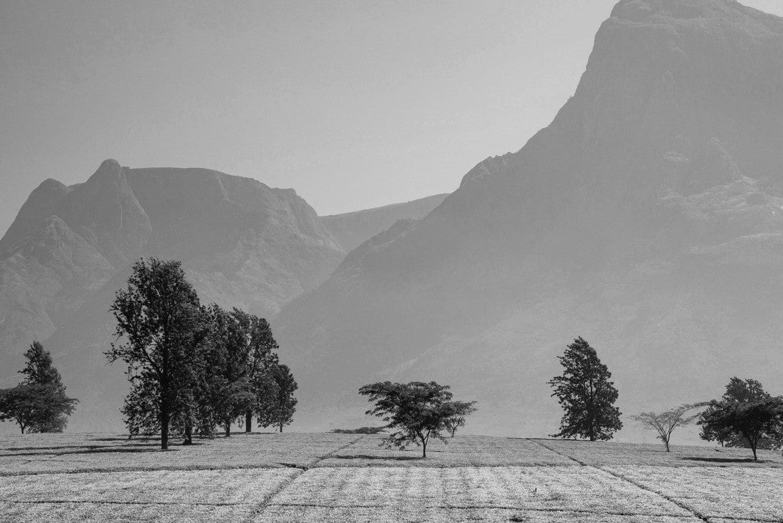 Mulanje Massif (mountain) in Malawi 2000pc PuzzleBlack and White