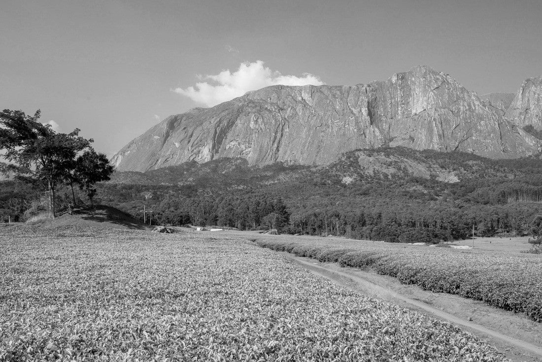 Mulanje Massif (mountain) in Malawi 2000pc PuzzleBlack and White