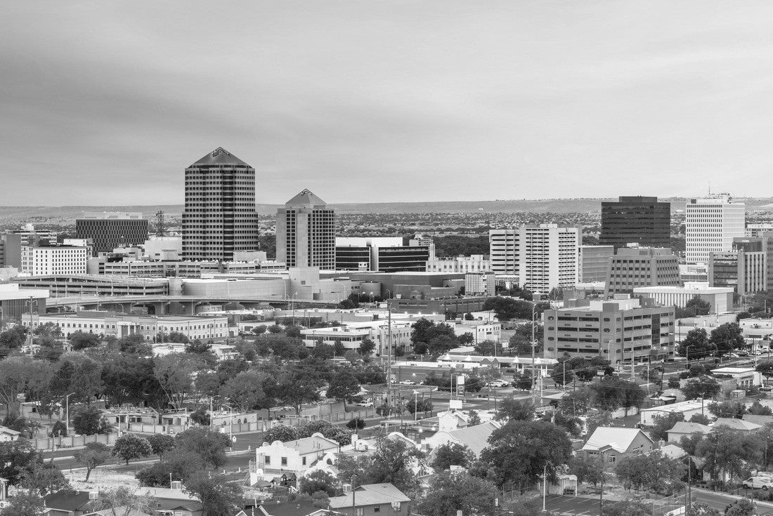 Albuquerque, New Mexico, USA downtown cityscape at twilight 2000pc PuzzleBlack and White