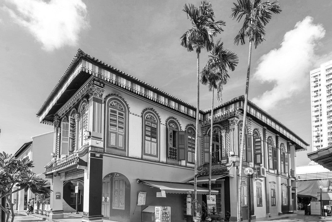 Noah Jigsaw Puzzle Colored facade of the building in Little India, Singapore in black white 2000 pieces