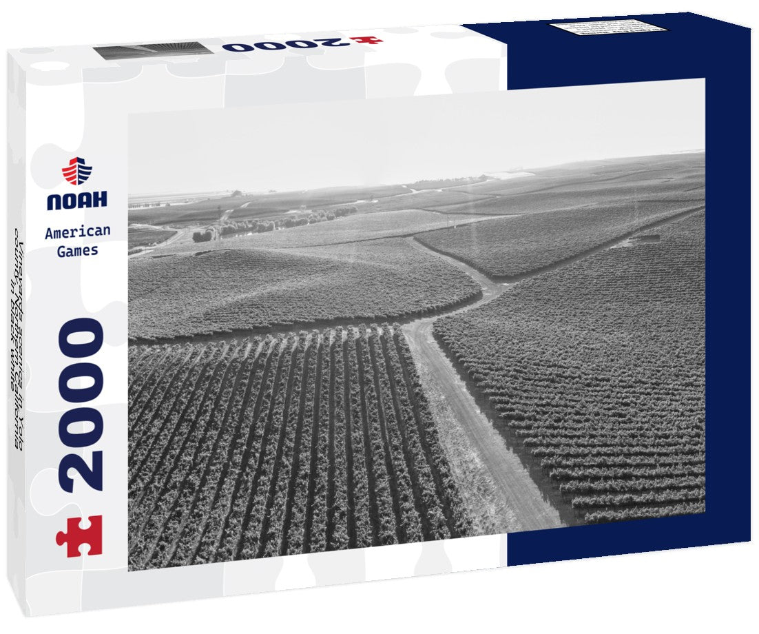 Vineyards scenics in Yolo county, Northern California 2000pc PuzzleBlack and White