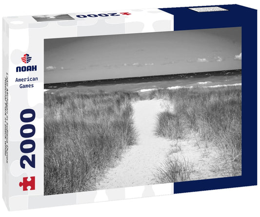 Noah Jigsaw Puzzle Lake Michigan in Indiana Dunes National Park in black white 2000 pieces