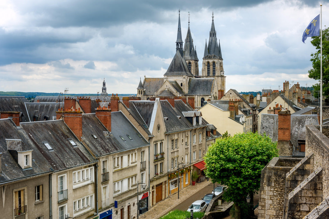 Noah Jigsaw Puzzle Blois, France 2000 Pieces