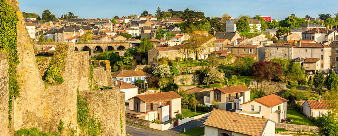 Noah Jigsaw Puzzle Bressuire, France Panorama 2000 Pieces