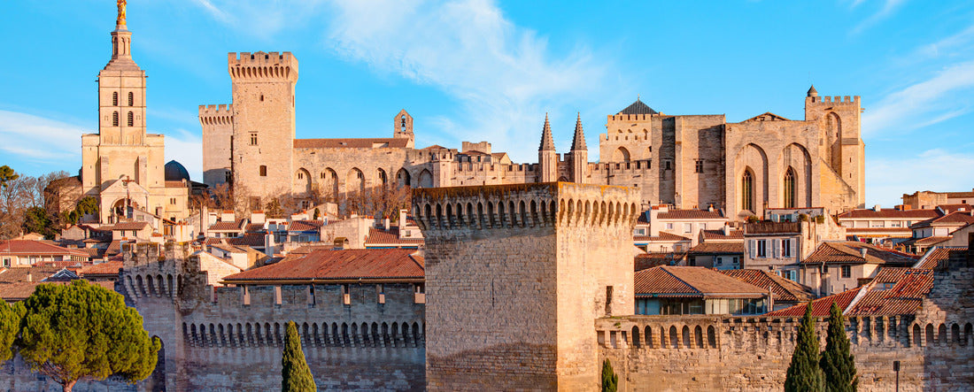 Avignon, France 2000pc Panoramic Puzzle