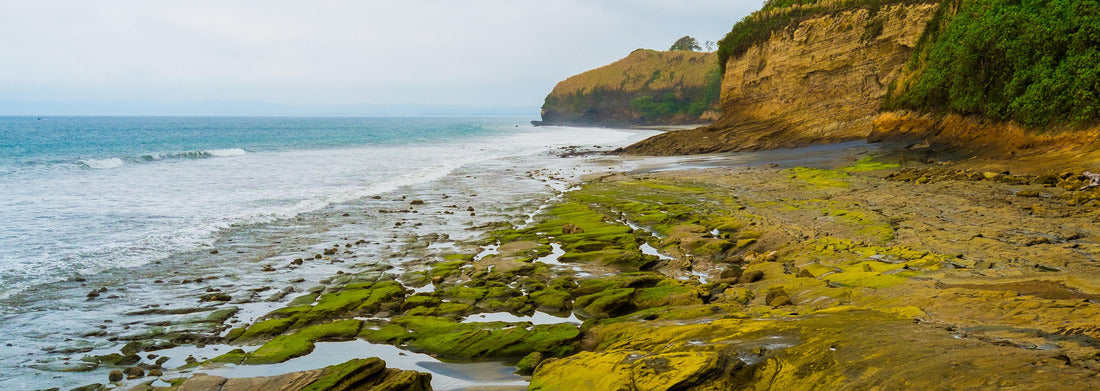 Noah Jigsaw Puzzle Mompiche, Ecuador, panorama Panorama 1000 Pieces