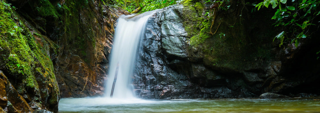 Noah Jigsaw Puzzle Podocarpus, Ecuador, panorama Panorama 1000 Pieces