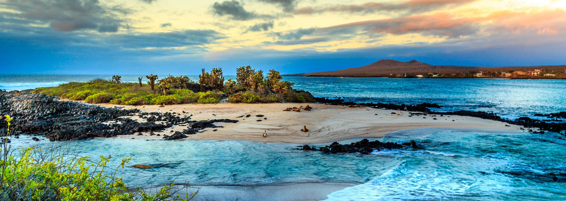 Noah Jigsaw Puzzle Galapagos Islands, Ecuador, Panorama Panorama 1000 Pieces