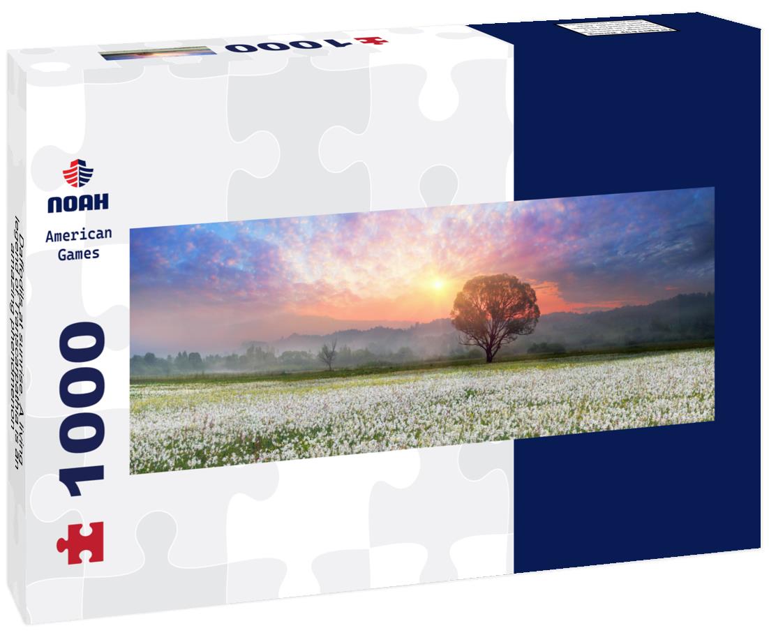 Noah Jigsaw Puzzle Daffodils at sunrise. A living legend of Transcarpathia is an amazing phenomenon - daffodil flowers, Ukraine, Panorama Panorama 1000 Pieces