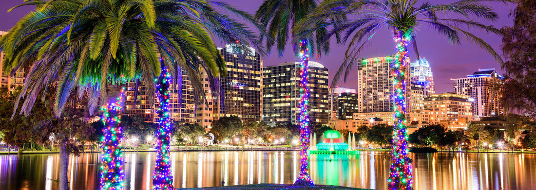 Noah Jigsaw Puzzle Orlando, Florida, Panorama Panorama 1000 Pieces