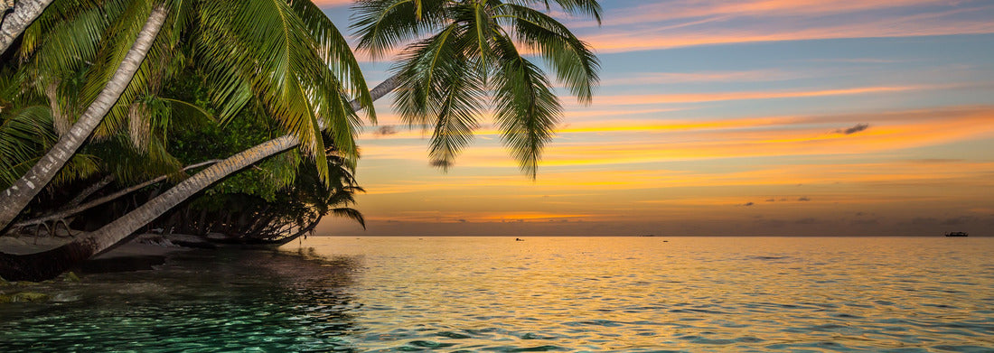 Noah Jigsaw Puzzle Tropical beach, panorama Panorama 1000 Pieces